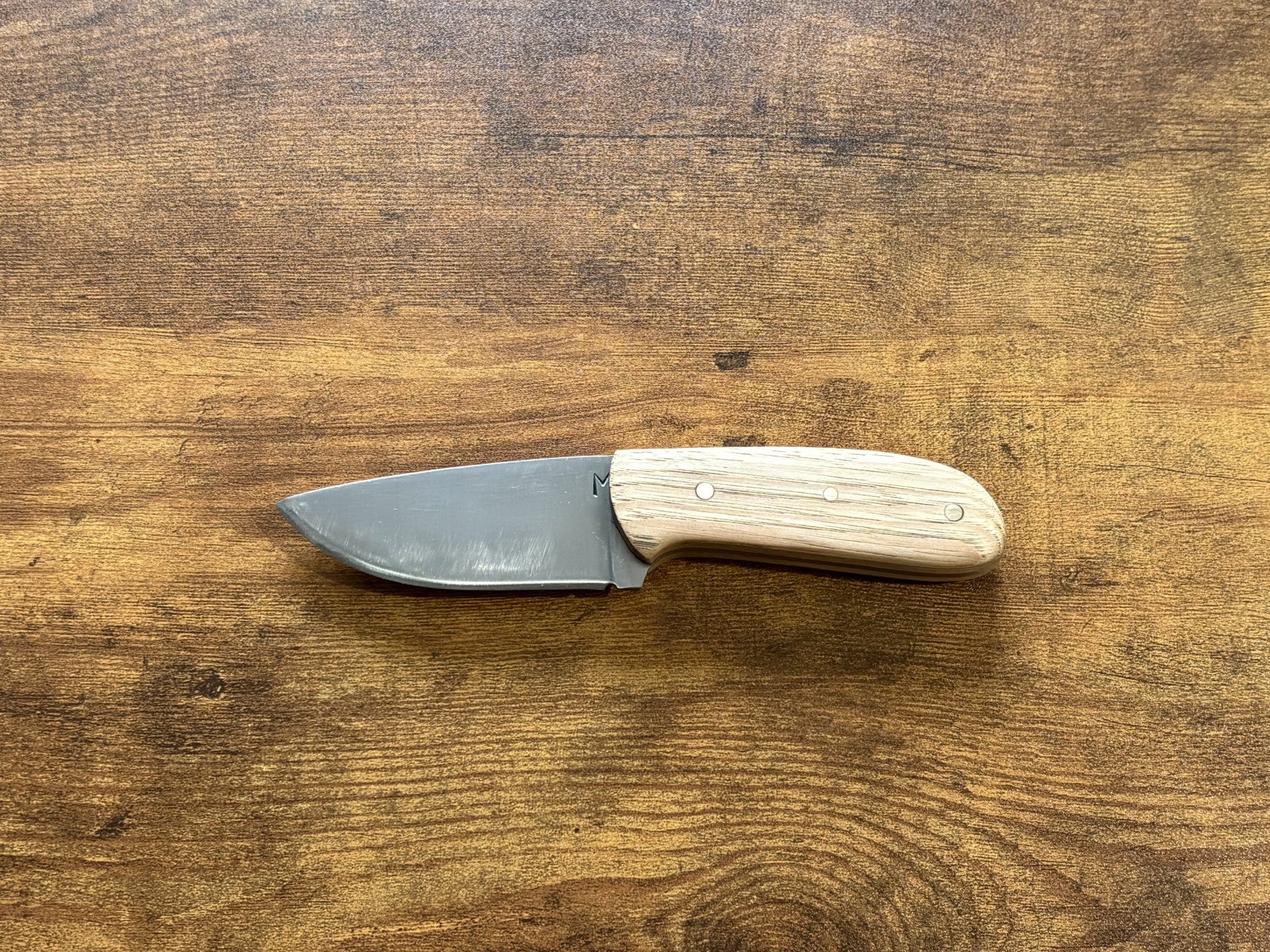 Castor/Beaver